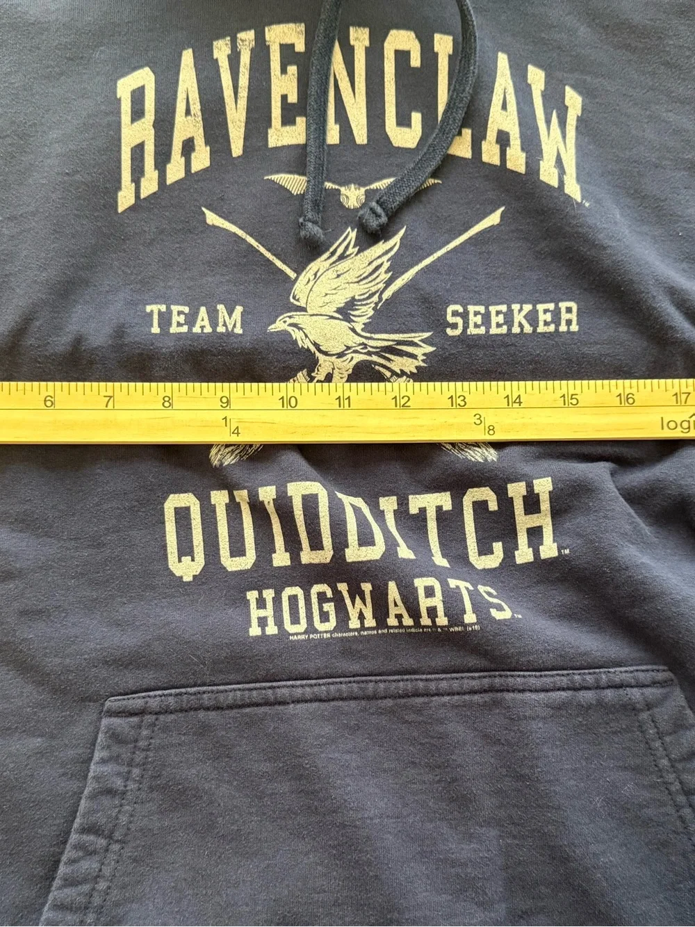 Harry Potter Ravenclaw Quidditch Seeker Hoodie Blue Port & Company Adult XL